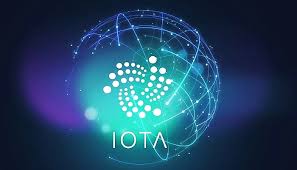 Leaked Transcript Uncovers Fallout Between IOTA Leaders